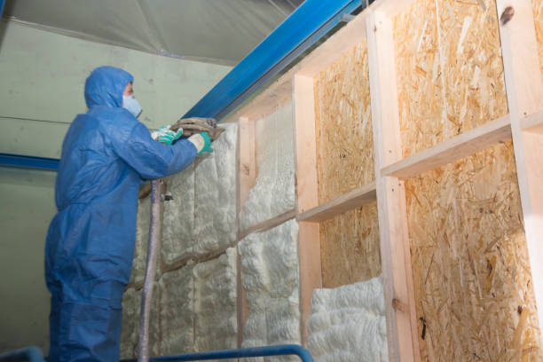 Best Insulation Contractor Near Me  in Davis, OK
